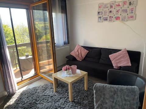 Idyllic nature Nagold/ Pfrondorf
2-room apartment