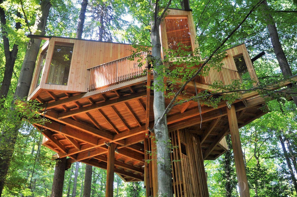 A unique treehouse structure is elevated among tall trees, showcasing a wooden exterior with large windows and wooden slats. The design incorporates multiple levels, enhancing the natural surroundings while providing open-air balcony spaces for enjoying the forest views.