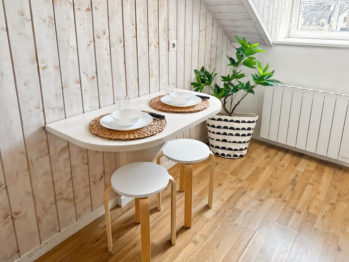 Le Nemours - Studio Avec Mezzanine - Rennes