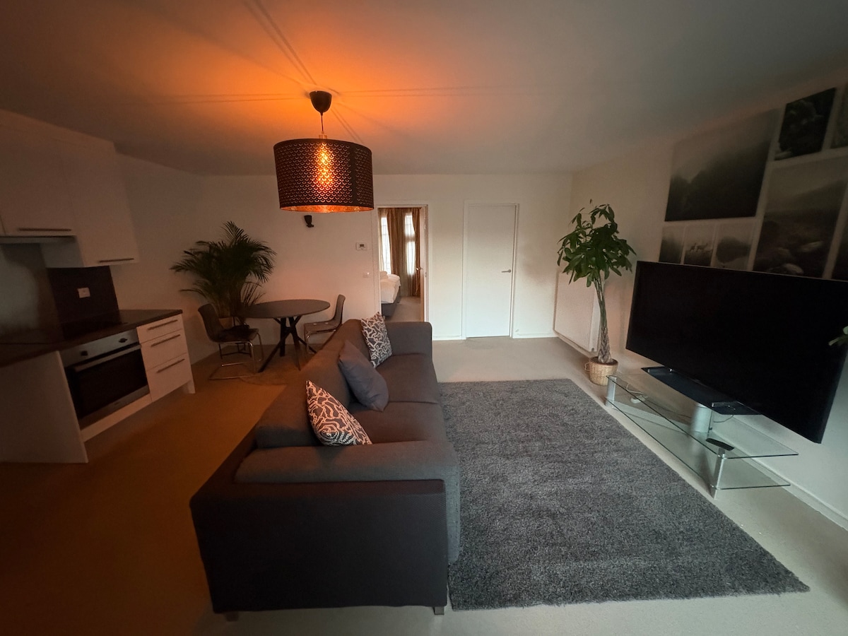 Superior Suite - foto 4 - Center Monet hotel Gent