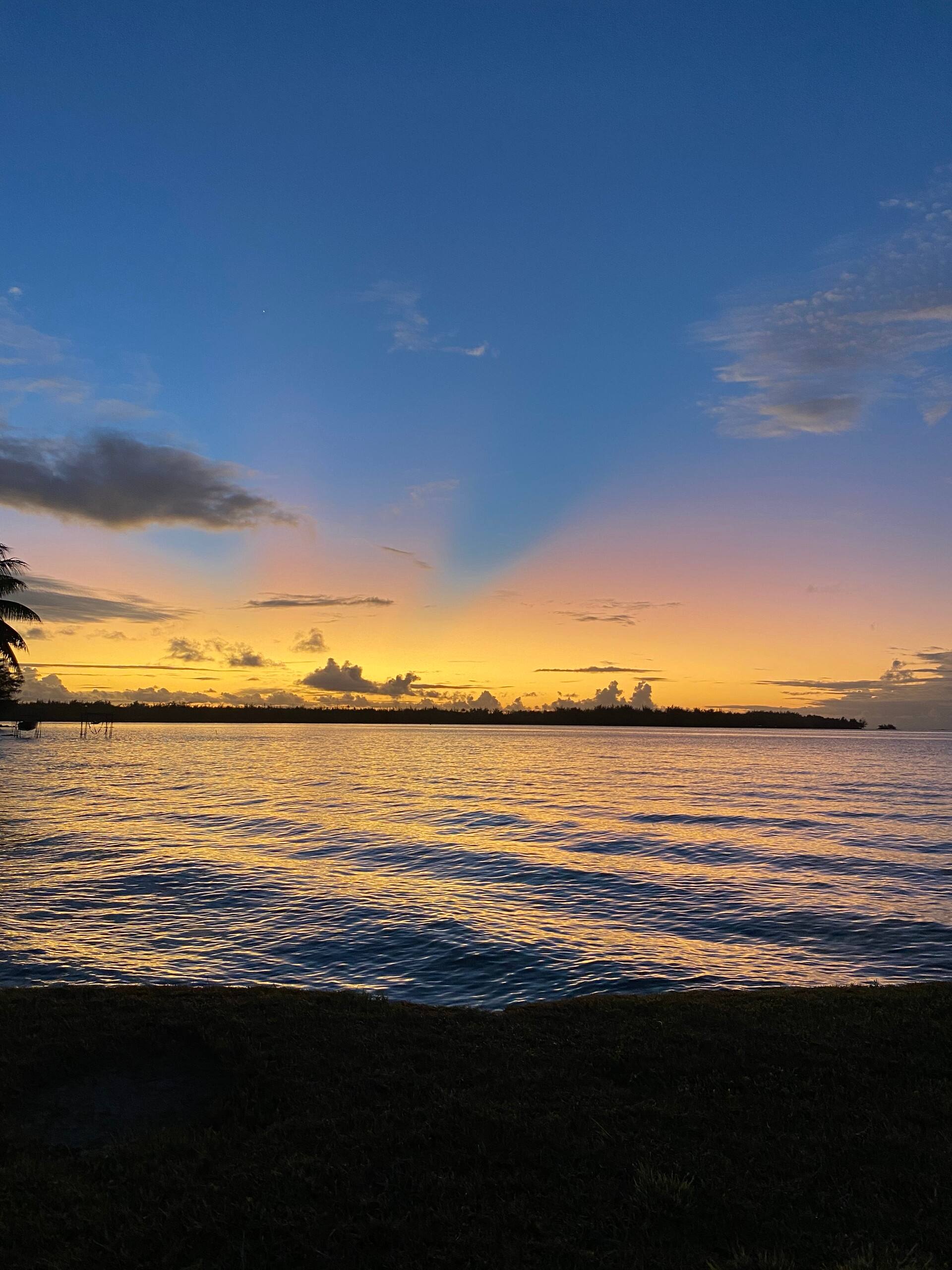 Bora Bora Vairupe lodge — foto 2