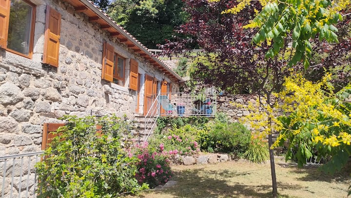 The Blue House