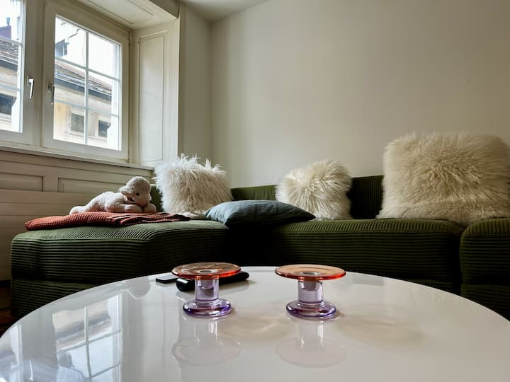Charming Apartment In Zurich Oldtown - Zurich Airport (ZRH)