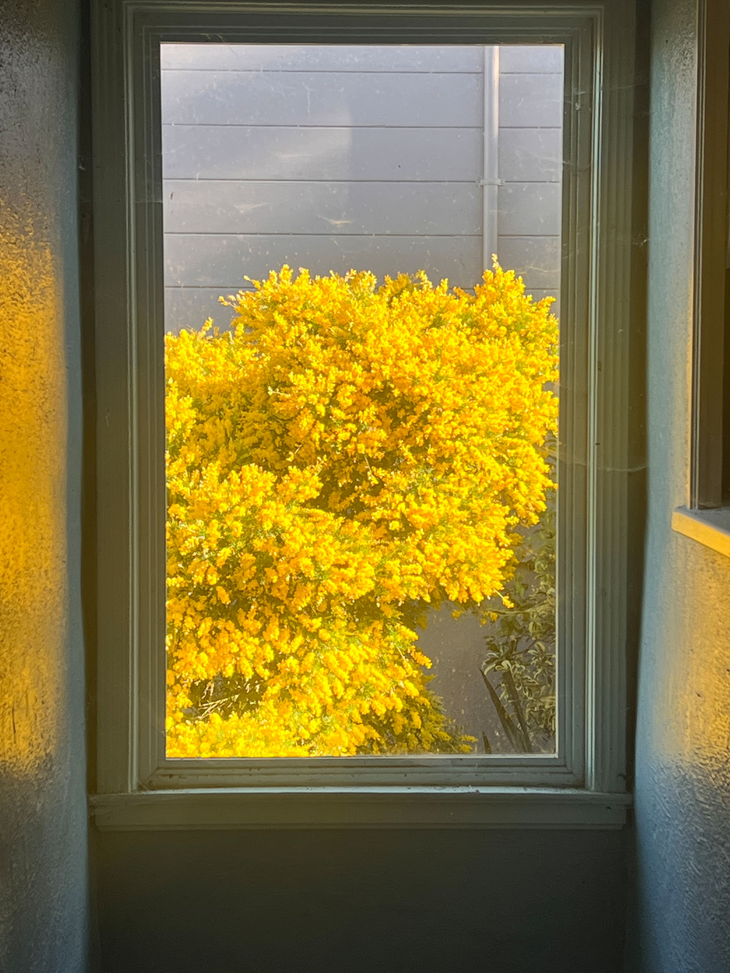Home in San Francisco · ★4.84 · 1 bedroom · 1 bed · 1 bath - Image 13