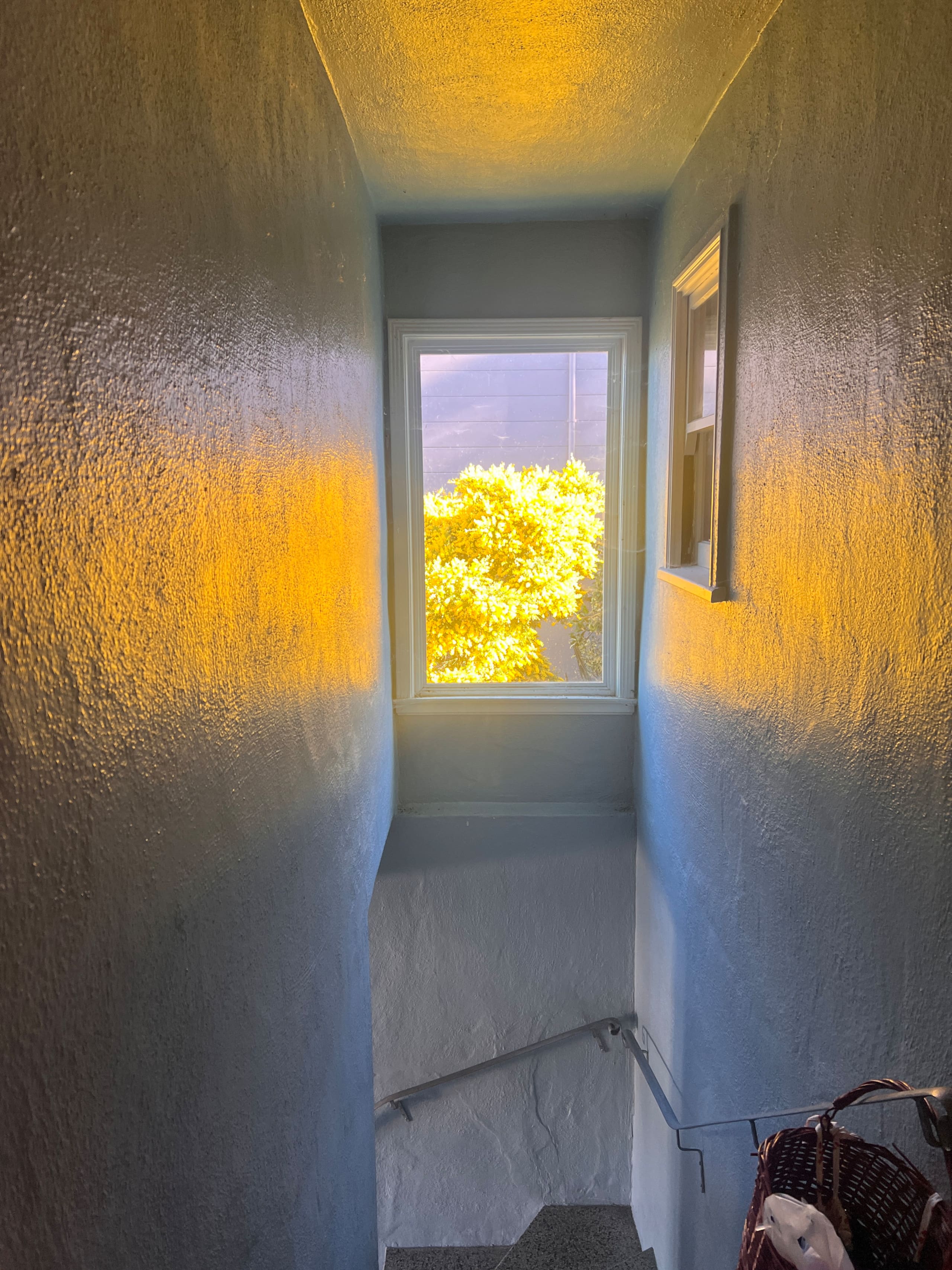 Home in San Francisco · ★4.84 · 1 bedroom · 1 bed · 1 bath - Image 12