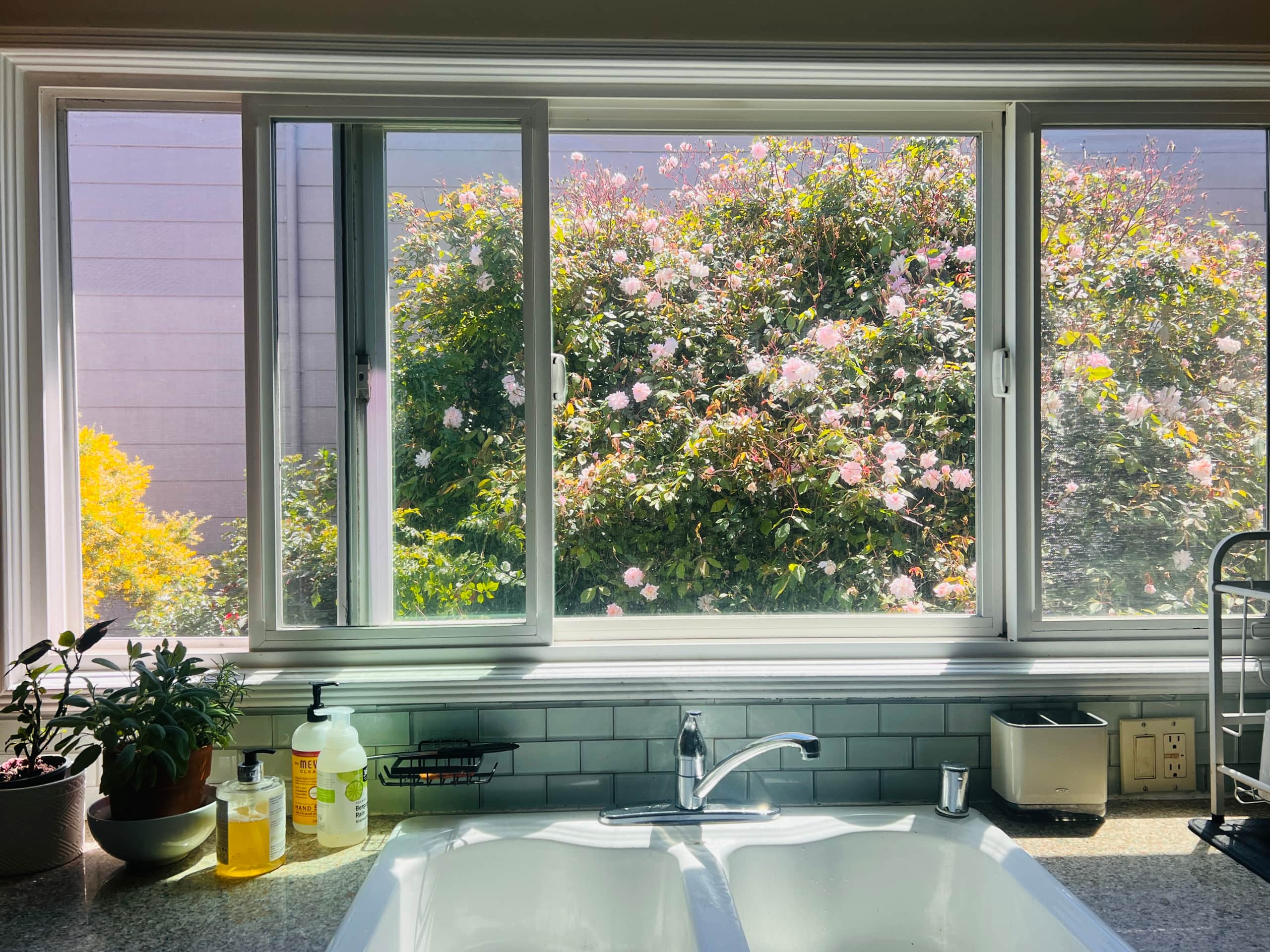 Home in San Francisco · ★4.84 · 1 bedroom · 1 bed · 1 bath - Image 4