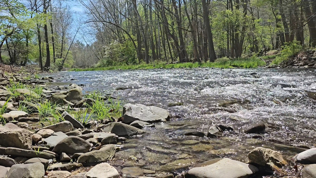 A serene creek meanders through a natural landscape, bordered by smooth stones and scattered patches of grass. Tall trees, with budding leaves, rise on both sides. Sunlight glimmers on the water's surface, creating a calming and tranquil setting, ideal for outdoor relaxation.