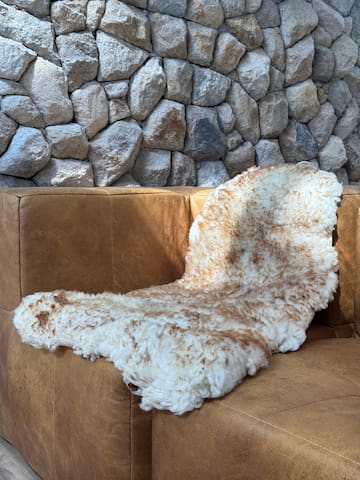 Entire home with 1 bedrooms in Rio De Janeiro - Hawk Lodge - Cabana na Montanha