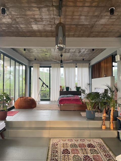 * Studio Plume *
Luxurious Modern Nature Studio