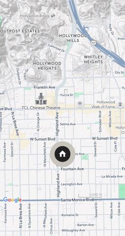 Hollywood Oasis Villa gallery image 5