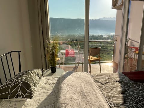 View of flamingos