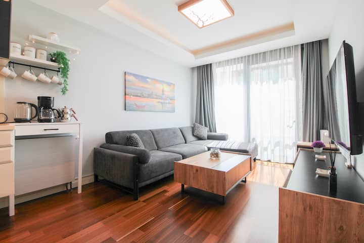 Modern 1br With Living Room  Taksim - İstanbul