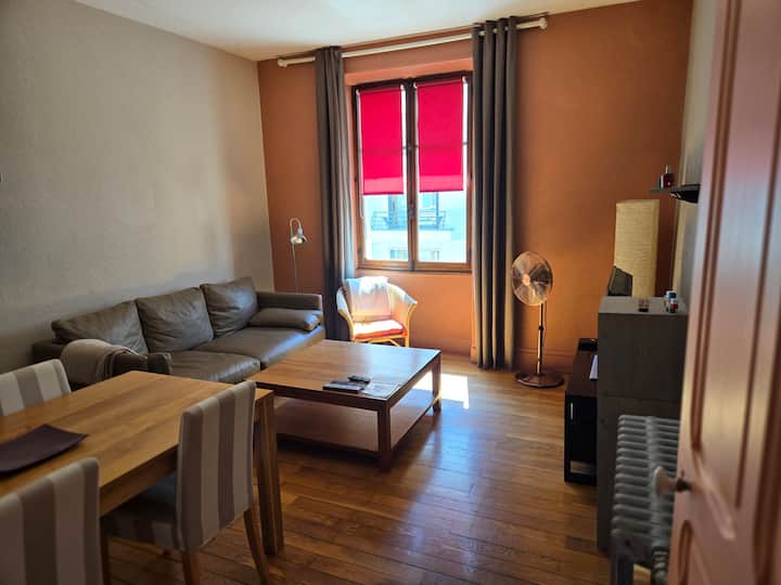 70m2 Zone Piétonne 5 Minutes Lac Et Vieille Ville - Annecy