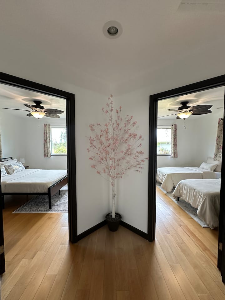 Quarto 1