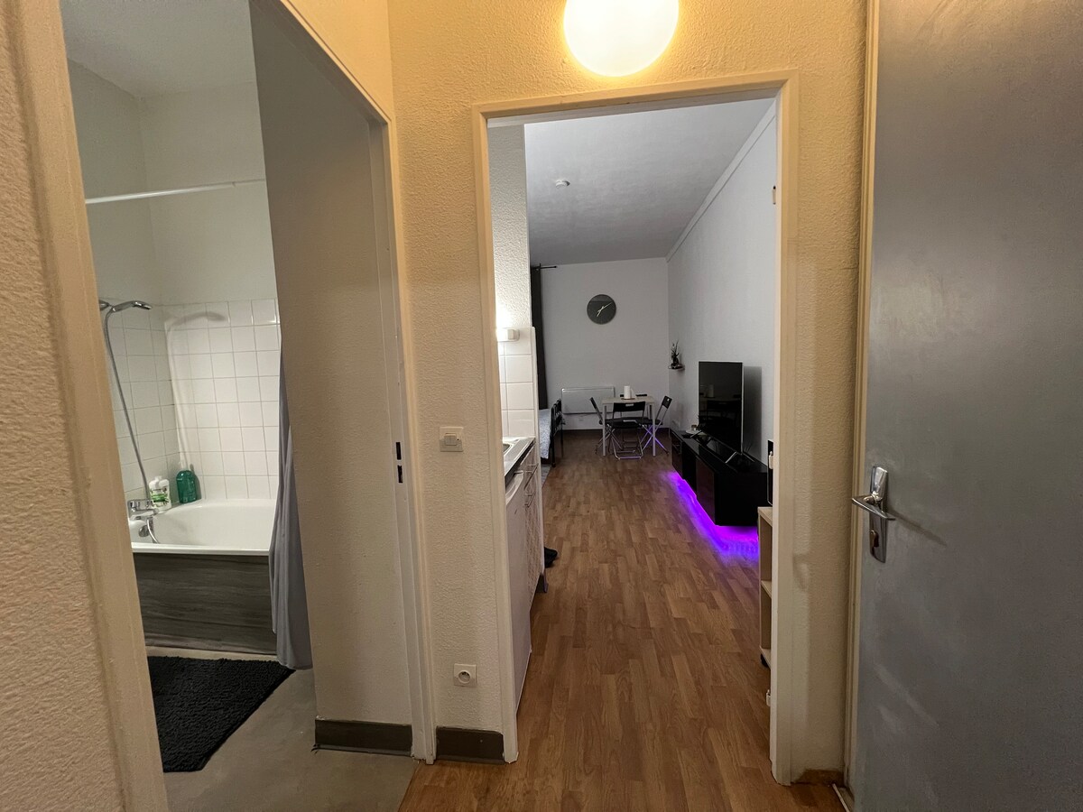A view of the studio's entrance hallway features doors leading to a bathroom and kitchenette. Natural wood flooring connects the spaces. A softly lit living area is visible in the background, showcasing a television unit with ambient lighting and a small dining table.