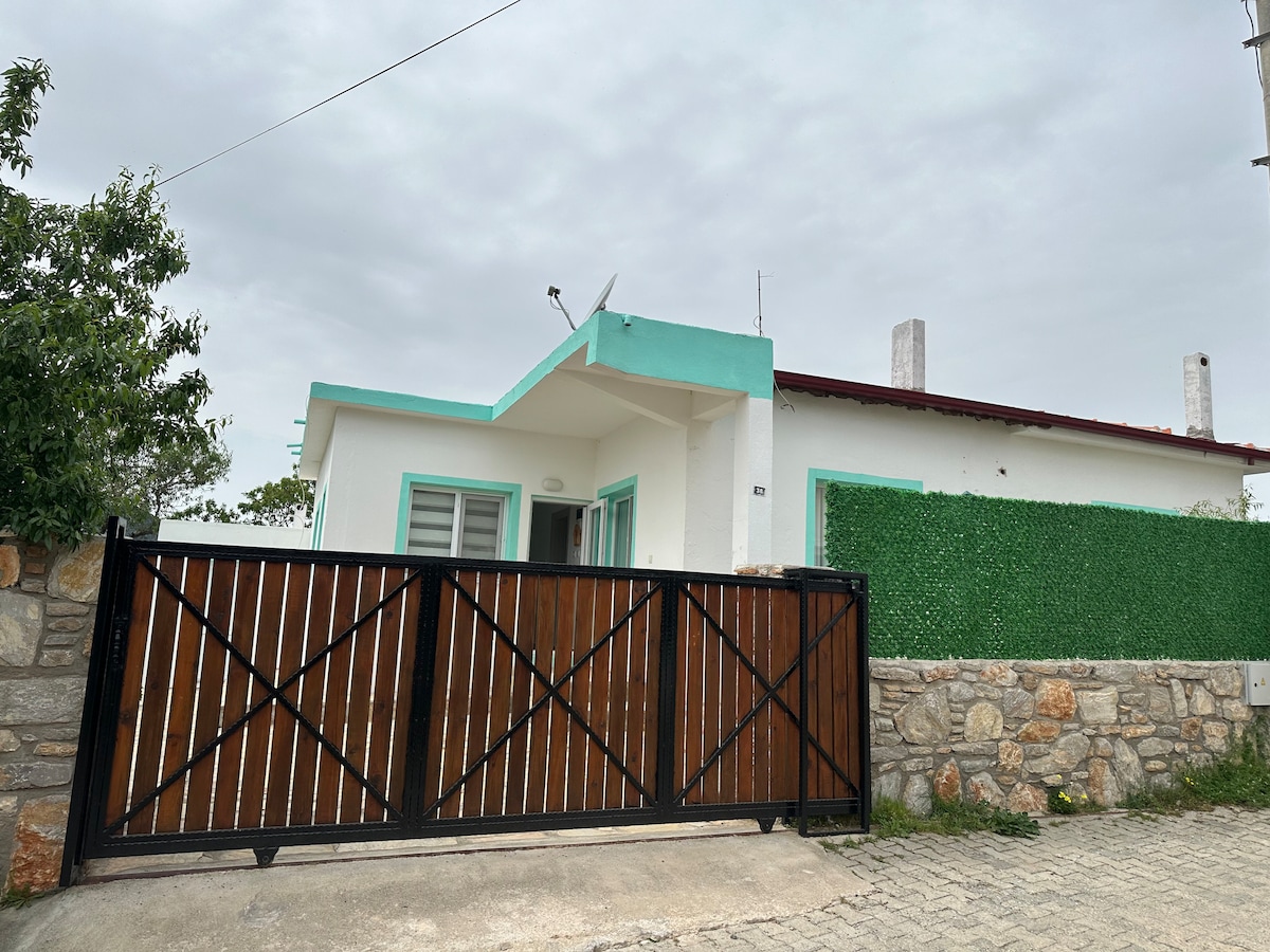 The exterior of the home features a modern design with a turquoise trim, surrounded by lush greenery. A wooden gate provides access to the property, while a smooth driveway leads up to the entrance. The building is single-story, complemented by a stone wall.