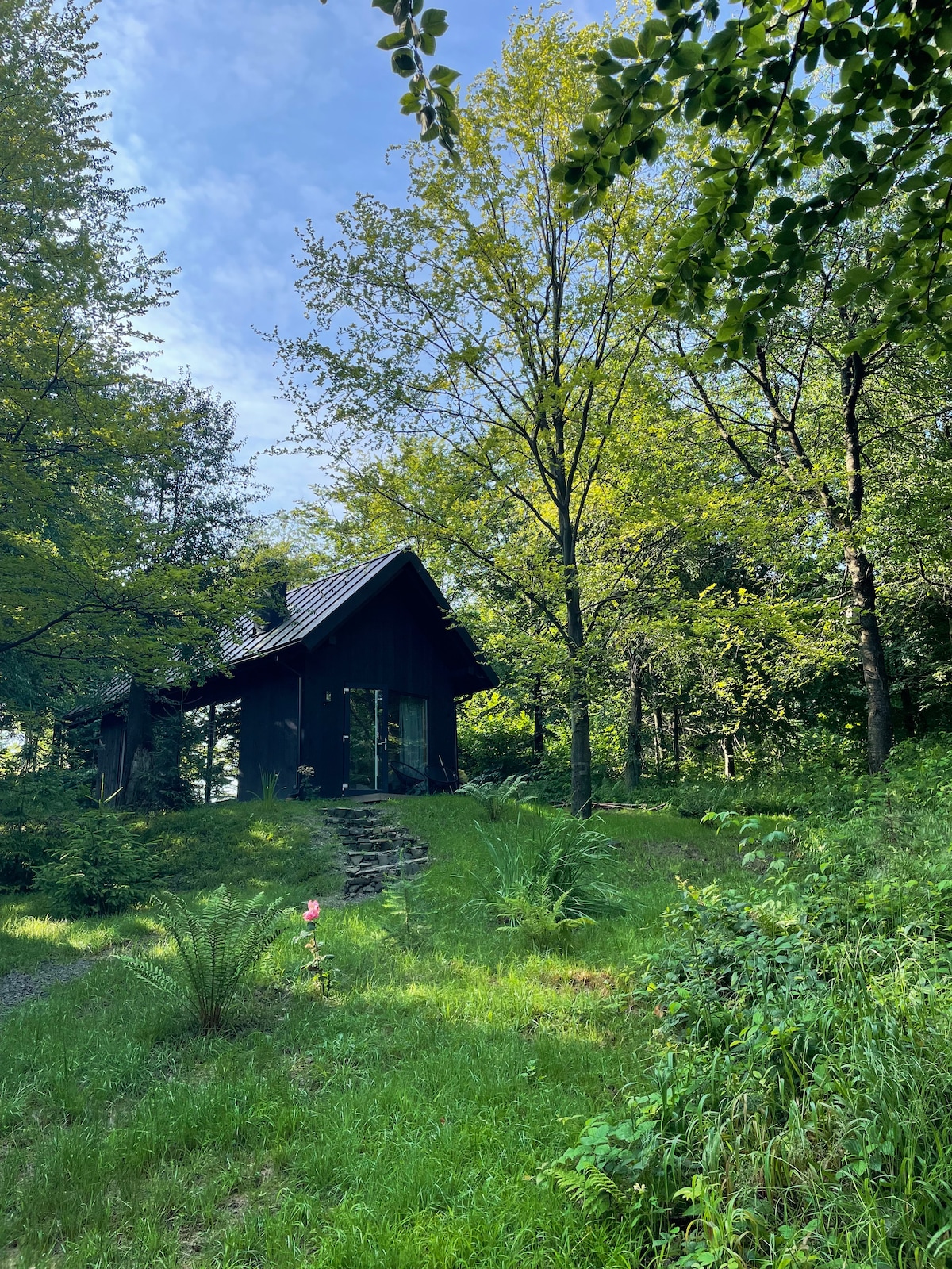 A dark wooden cottage is set amidst lush greenery, partially hidden by trees. Sunlight filters through the leaves, illuminating the surrounding grass and plants. A stone pathway leads to the entrance, inviting exploration of the serene natural setting.