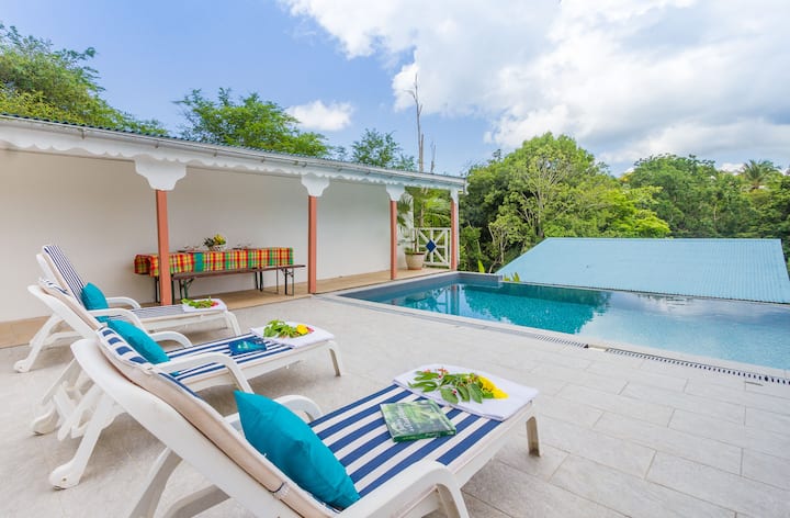 Alamanda Jaune/gîte Carambole - Guadeloupe