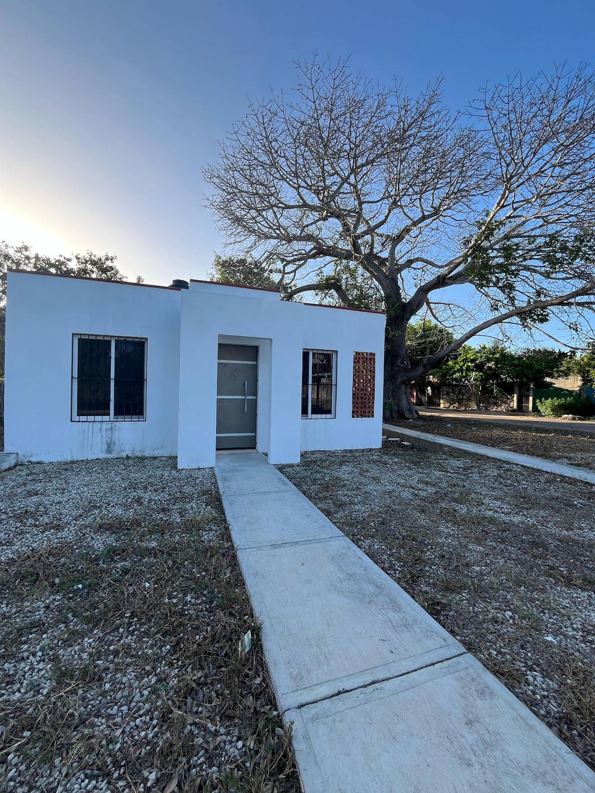 A simple white house is shown with a concrete pathway leading to the entrance. The structure features large windows with black grilles and a decorative element on one side. A large, leafless tree stands nearby, providing shade to the front yard.
