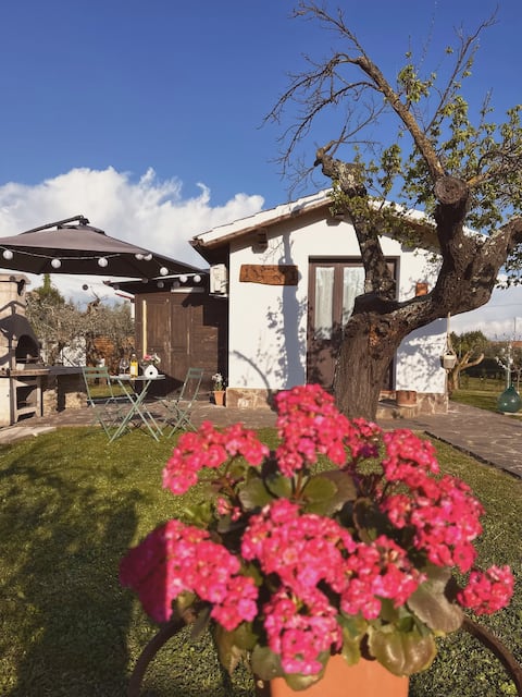 Casetta Rosa: relax between the sea and nature