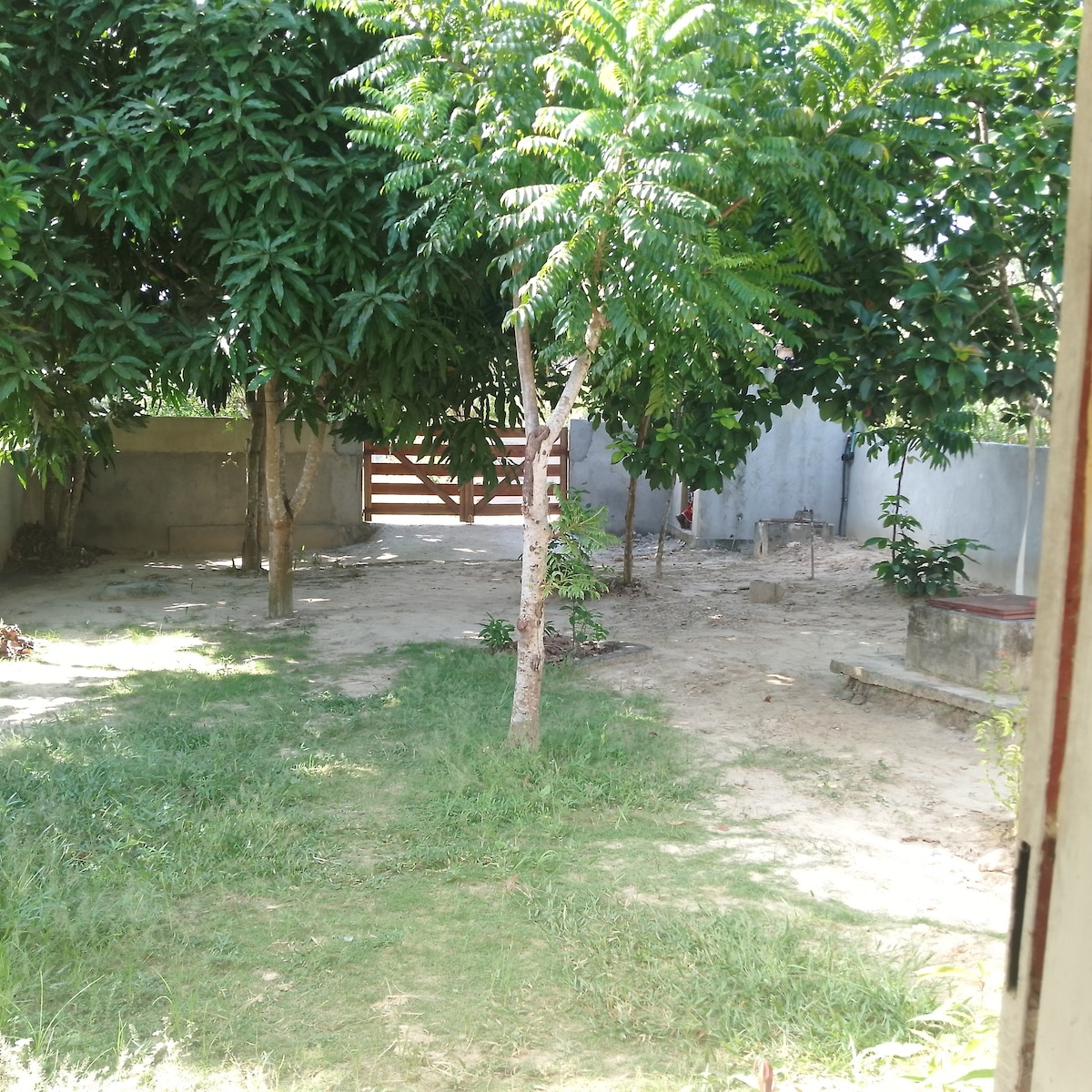 A serene outdoor space is framed by lush, leafy trees, providing shade over a grassy area. The ground is mostly bare dirt, with patches of grass and a few plants visible. A fence can be seen in the background, marking the entrance to the property.