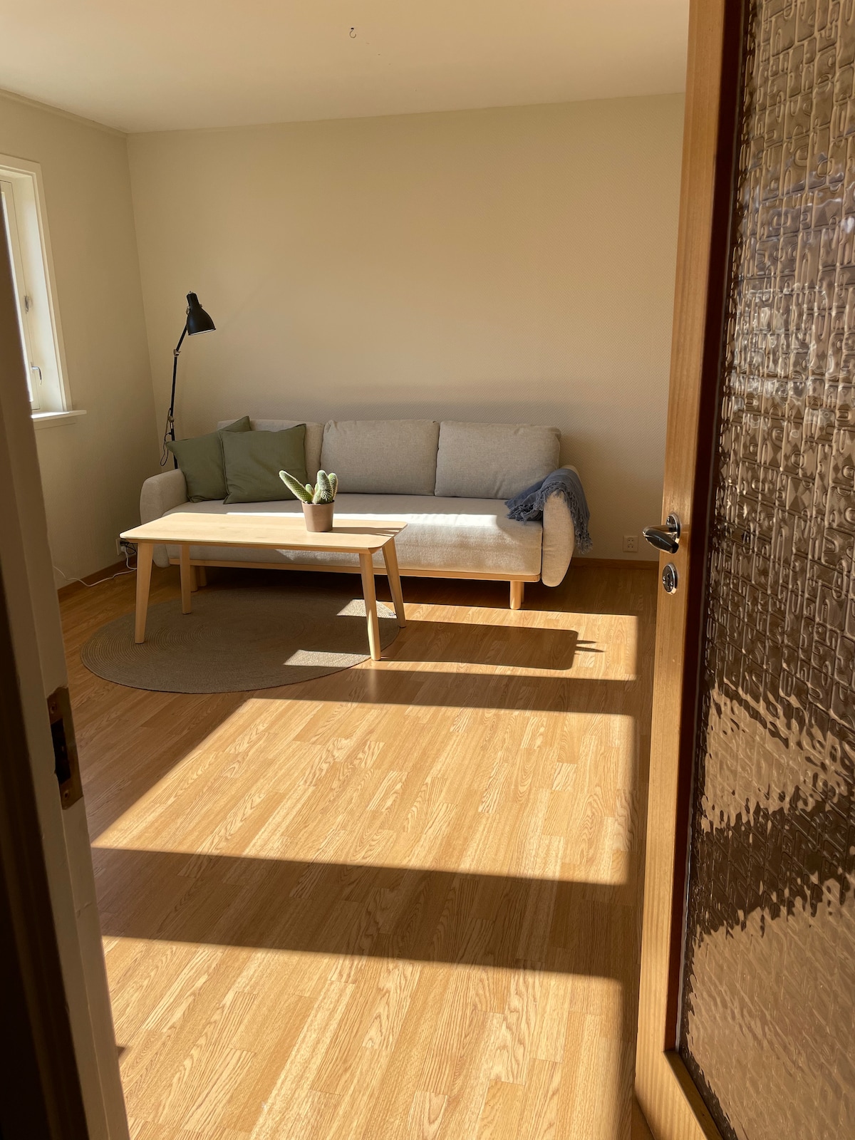A simple living area is visible, featuring a light-colored sofa accompanied by a green cushion and a small potted plant. A wooden table sits in front, positioned on a round rug. Natural light fills the space through the window, enhancing the warm wood flooring.