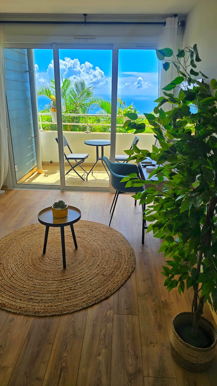 Studio vue mer St Denis
