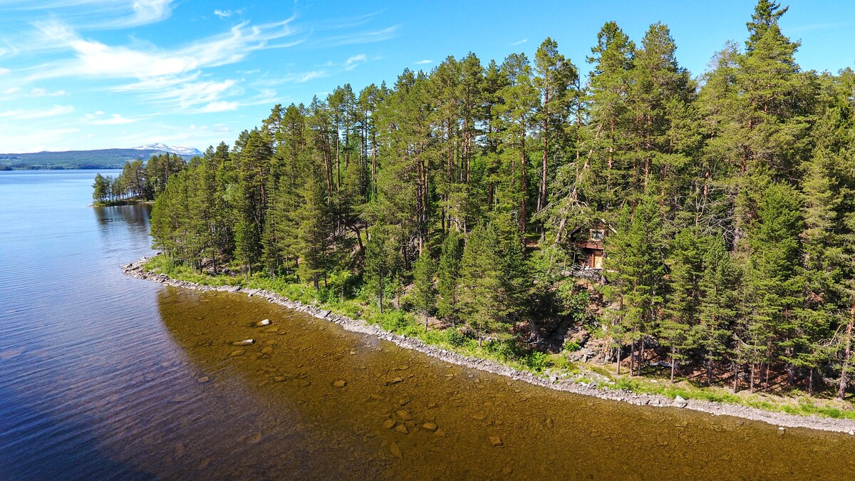 A scenic shoreline is bordered by a dense forest of tall trees, leading down to calm waters. The clear lake reflects the blue sky, while patches of pebbles and rocks are visible along the water's edge, enhancing the natural setting.