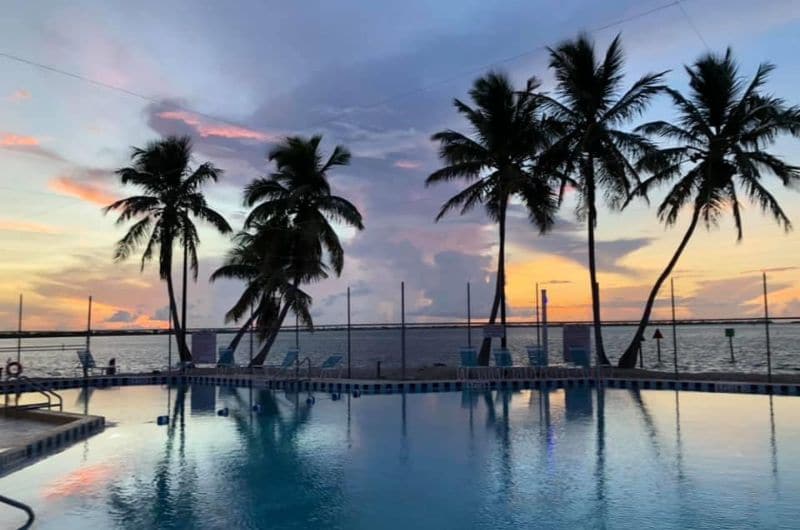 A tranquil pool is set against a backdrop of palm trees and a vibrant sunset. The water reflects the hues of the sky, creating a calming scene. Loungers are positioned along the poolside, offering a inviting space to relax.