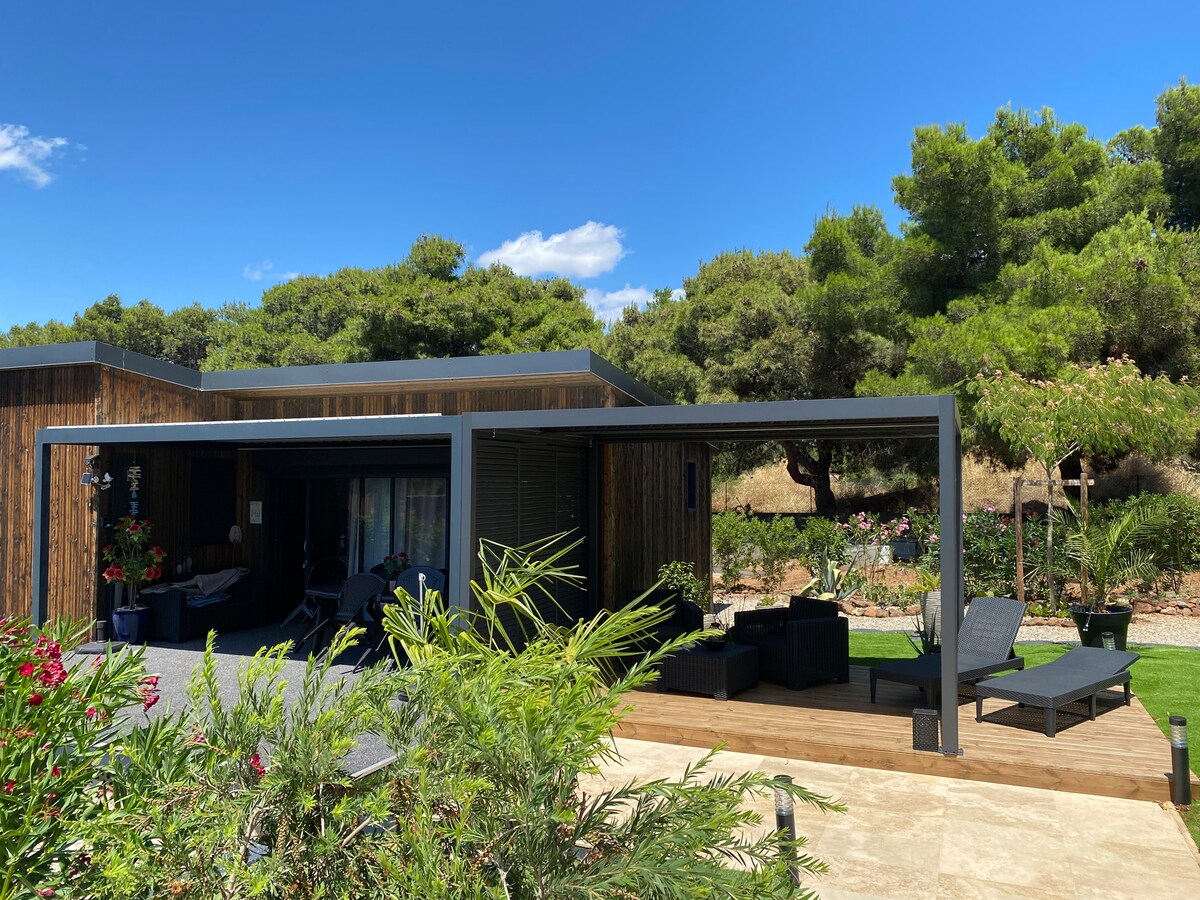 An outdoor terrace area is presented with modern lounge furniture and natural greenery surrounding the space. The cottage features a wooden exterior, blending harmoniously with the landscape, while clear blue skies and lush trees provide a serene backdrop.