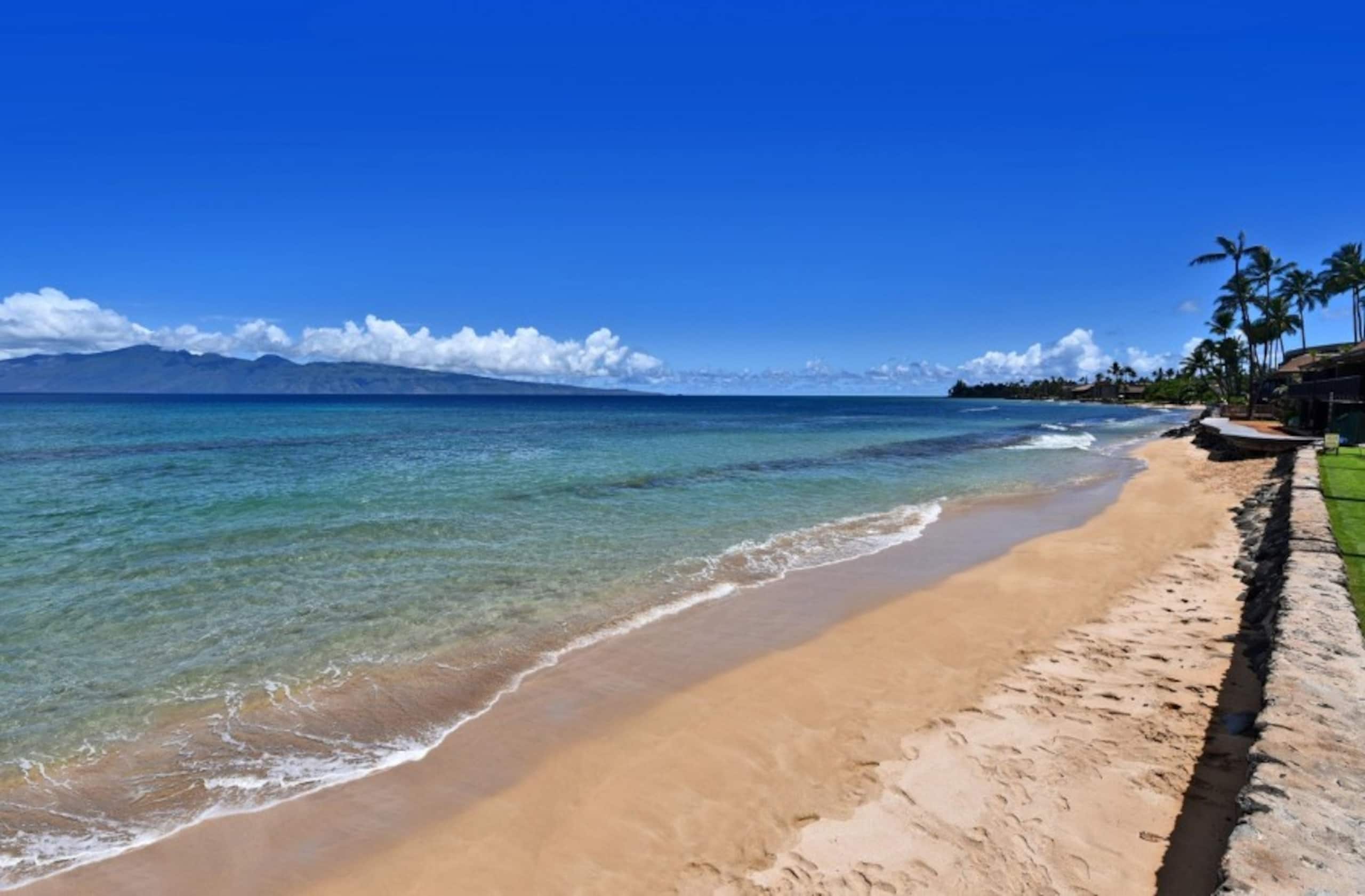 Condo in Lahaina · ★4.58 · 1 bedroom · 2 beds · 1 private bath - Image 14