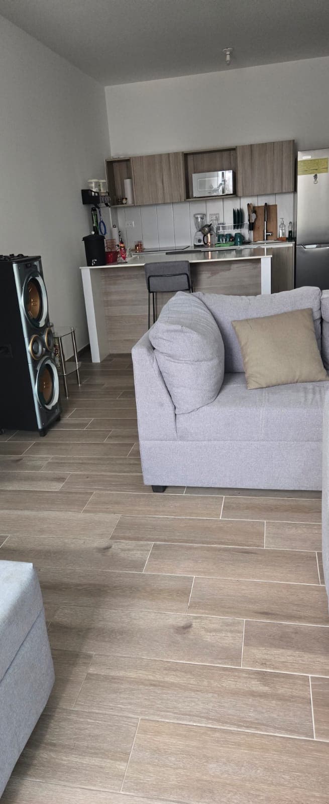 A modern living area features soft beige furniture, including a spacious sofa and a textured throw pillow. A sleek kitchen is observed in the background, equipped with wooden cabinets and visible countertop appliances. Natural light is filtered through a window, illuminating the warm wooden floor.