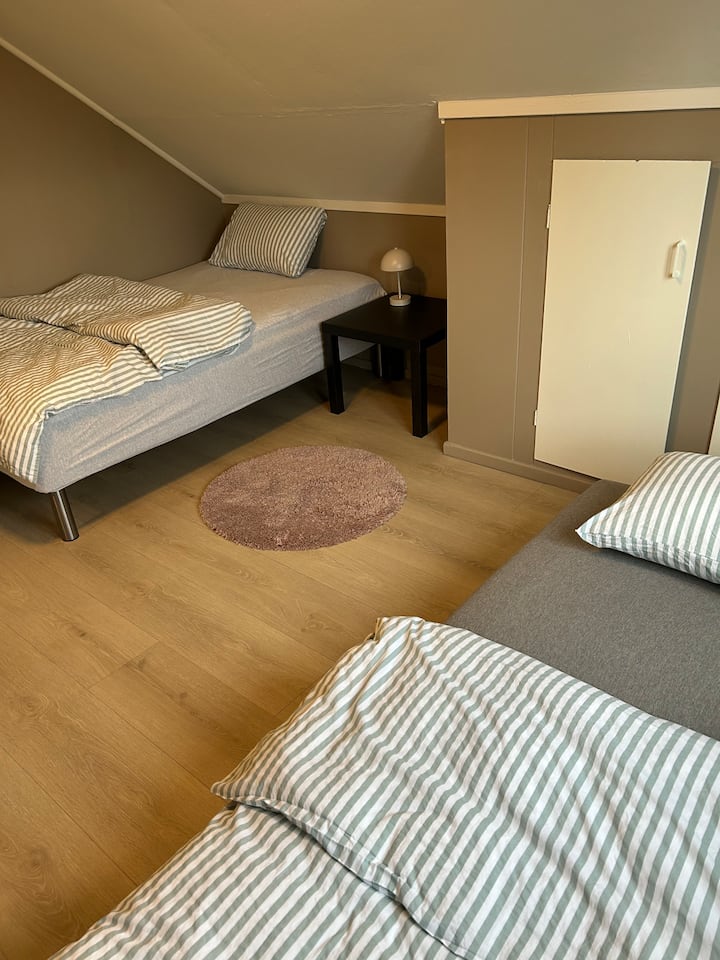 La habitación del león. 120 camas y 90 camas. 