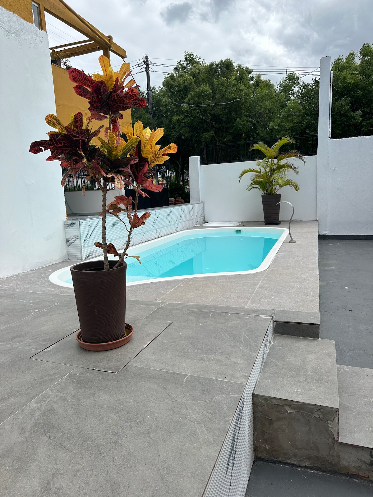 A serene pool area features a smoothly designed pool surrounded by grey tiles. Colorful potted plants are positioned nearby, with one highlighting vibrant red and green leaves. The clean lines of the space are complemented by white walls and greenery in the background.