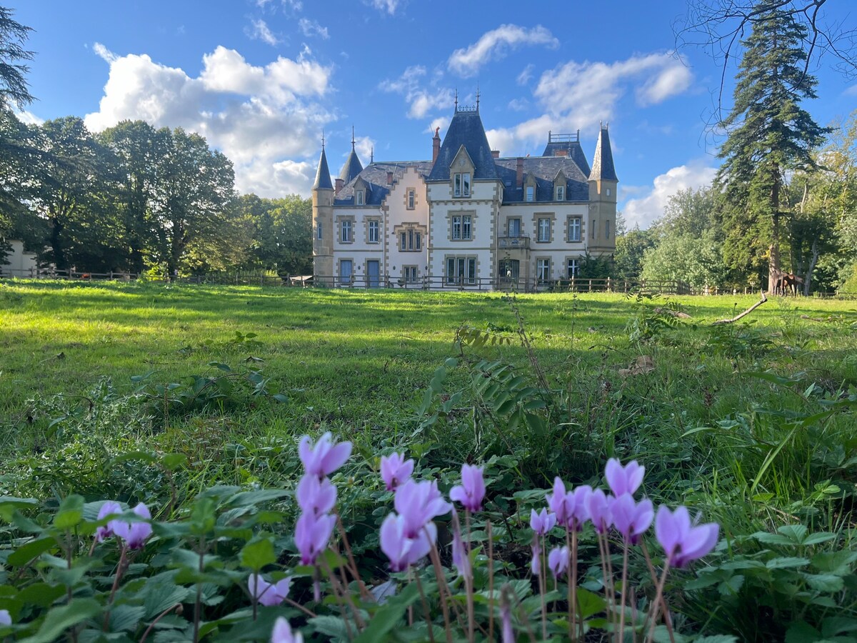 The image captures a late 19th century chateau set amidst lush green grounds. The building features distinctive architectural elements, including pointed turrets and large windows. In the foreground, delicate pink flowers are visible, while trees and open space frame the structure, contributing to a serene atmosphere.