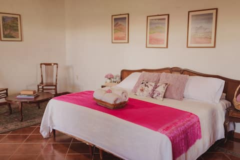 Beautiful suite in hacienda with jacuzzi