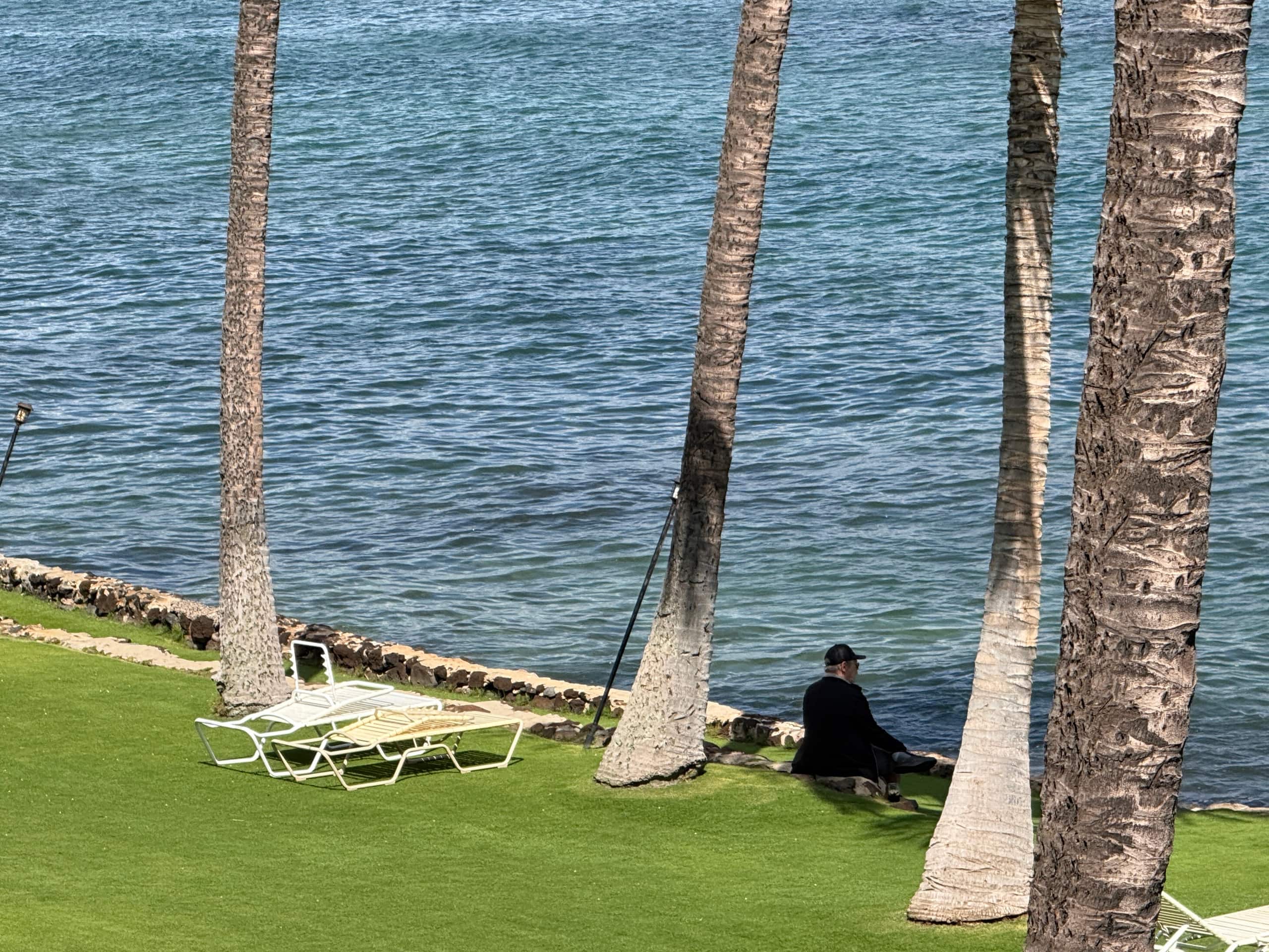 Condo in Maalaea · ★4.95 · 1 bedroom · 2 beds · 1 bath - Image 50