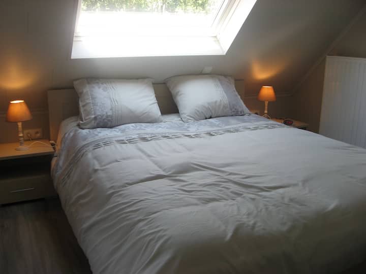 Habitación 4