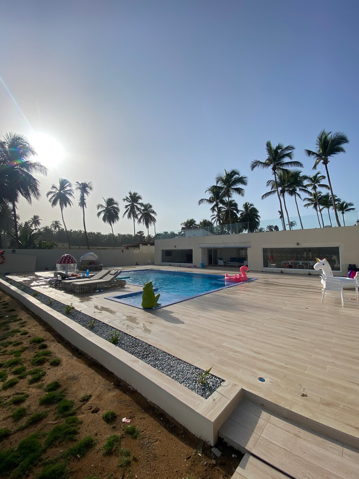 A serene pool area is surrounded by palm trees, with sun loungers placed nearby. A bright pool reflects sunlight, while playful floaties can be seen on the water's surface. The area features clean lines and modern architecture, enhancing the overall calm ambiance.