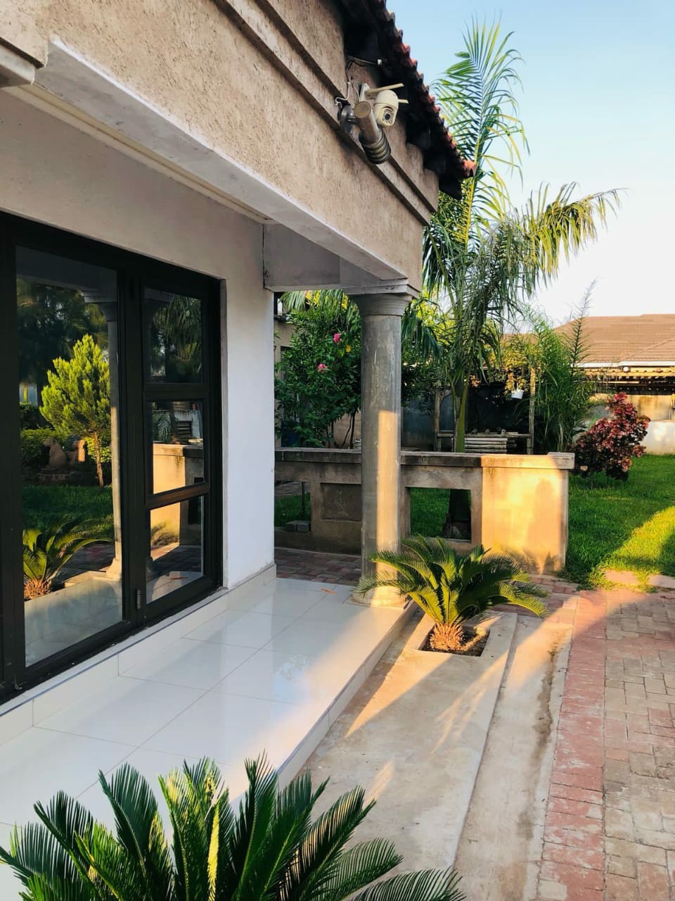 A patio area is presented with sleek white tiles, framed by green plants and shadows cast by sunlight. Large glass doors reflect the surrounding garden, which features palm trees and colorful foliage, adding a vibrant touch to the exterior.