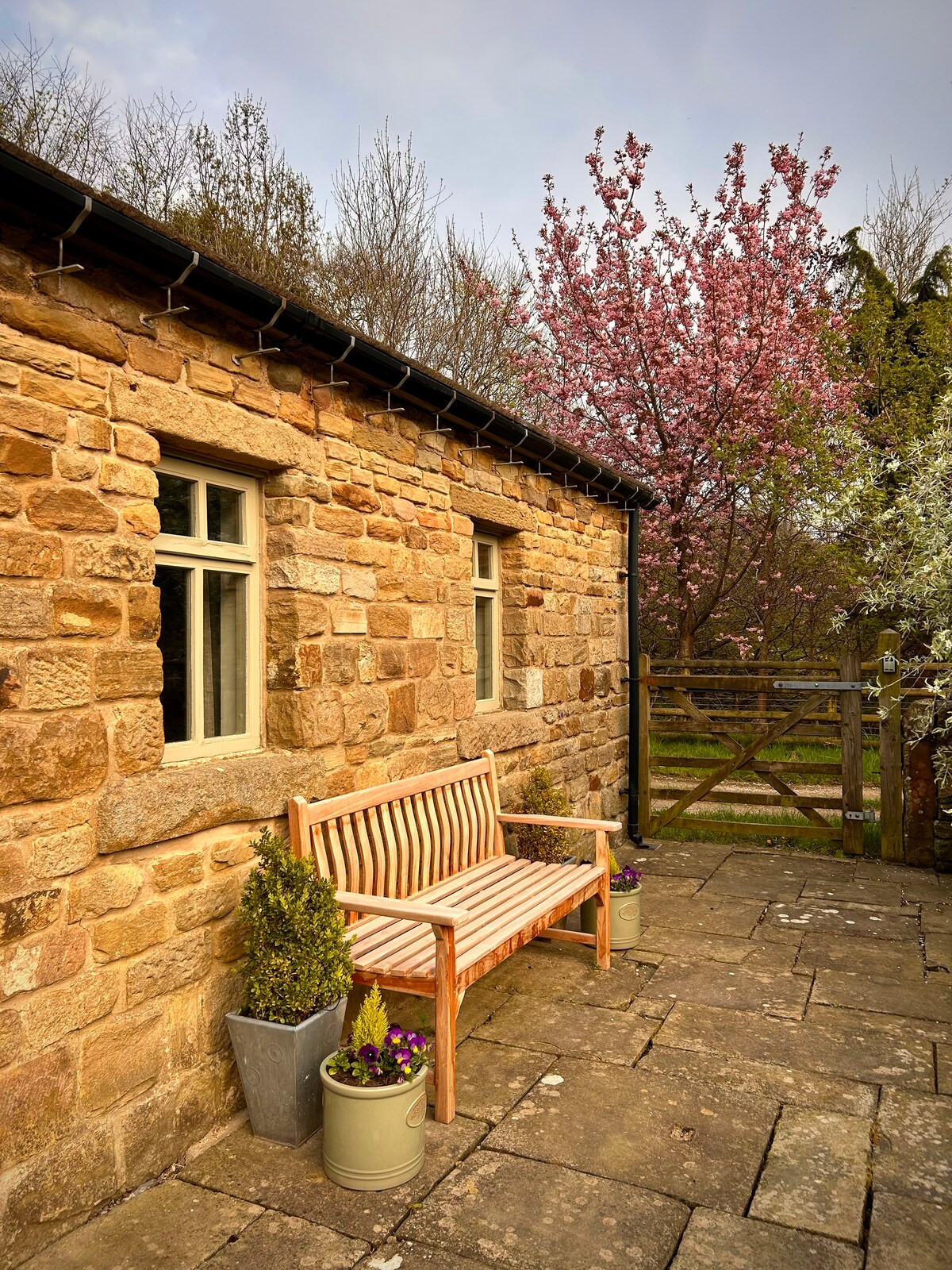 A stone cottage exterior is framed by a wooden bench positioned on a paved patio. Pink flowering trees bloom nearby, adding a touch of color to the setting. A wooden gate and fence provide a boundary to the garden area, enhancing the peaceful outdoor ambiance.