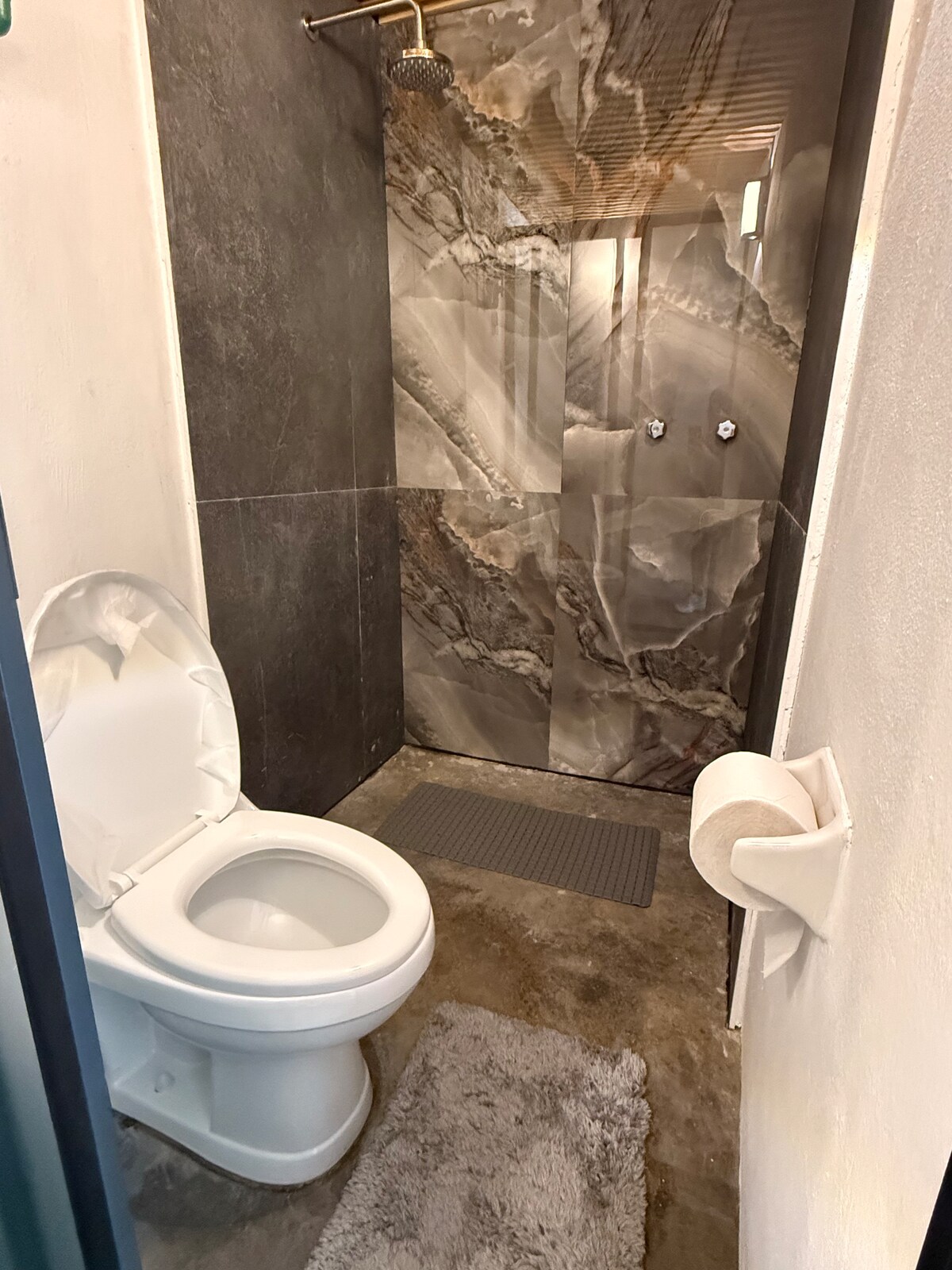 A modern bathroom is featured, showcasing a walk-in shower with sleek marble wall tiles. A white toilet is positioned adjacent to the shower, with a small gray mat placed on the floor. A roll of toilet paper is neatly displayed on the wall.