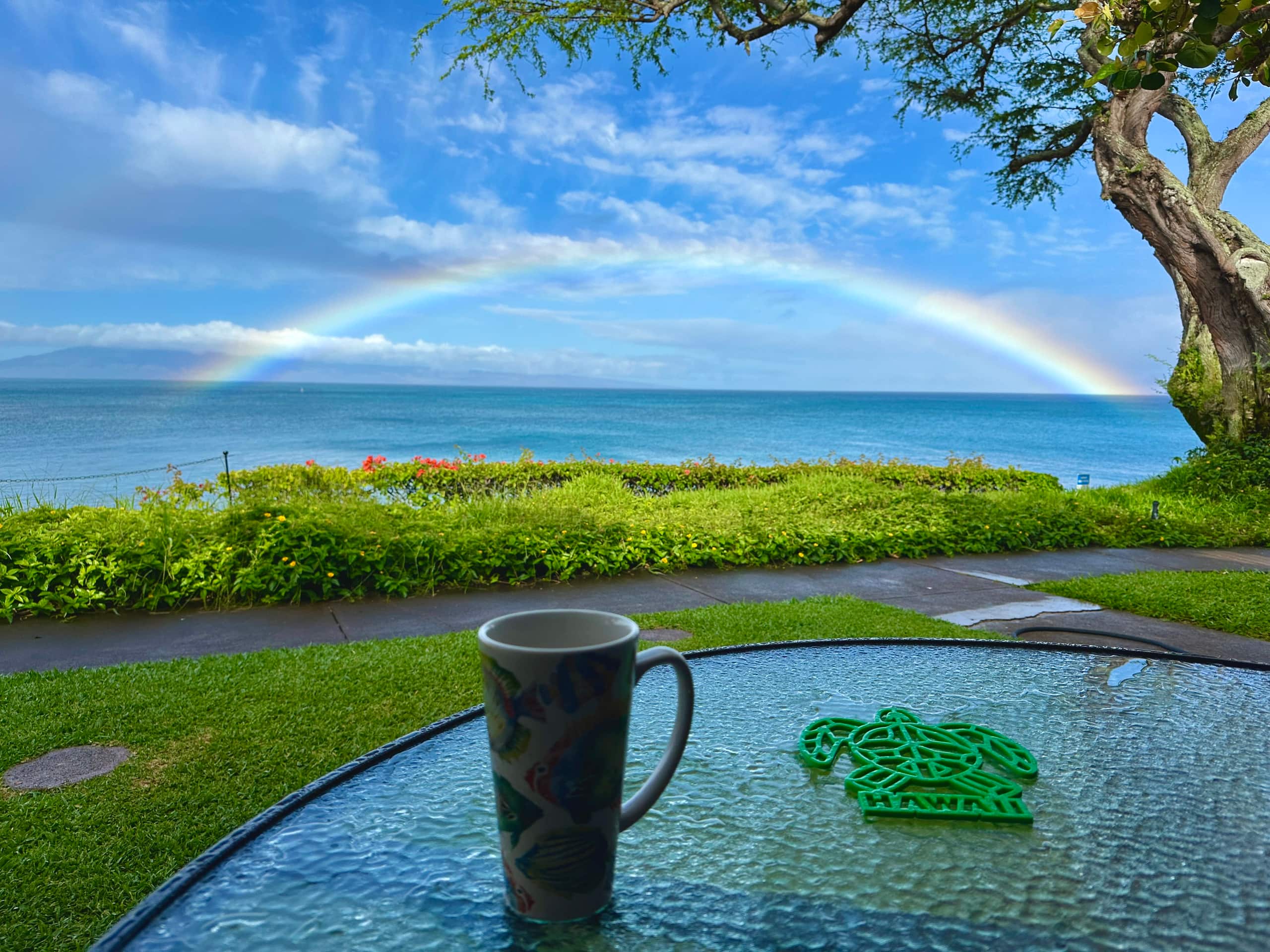 Condo in Lahaina · ★5.0 · 1 bedroom · 3 beds · 1 bath - Image 16
