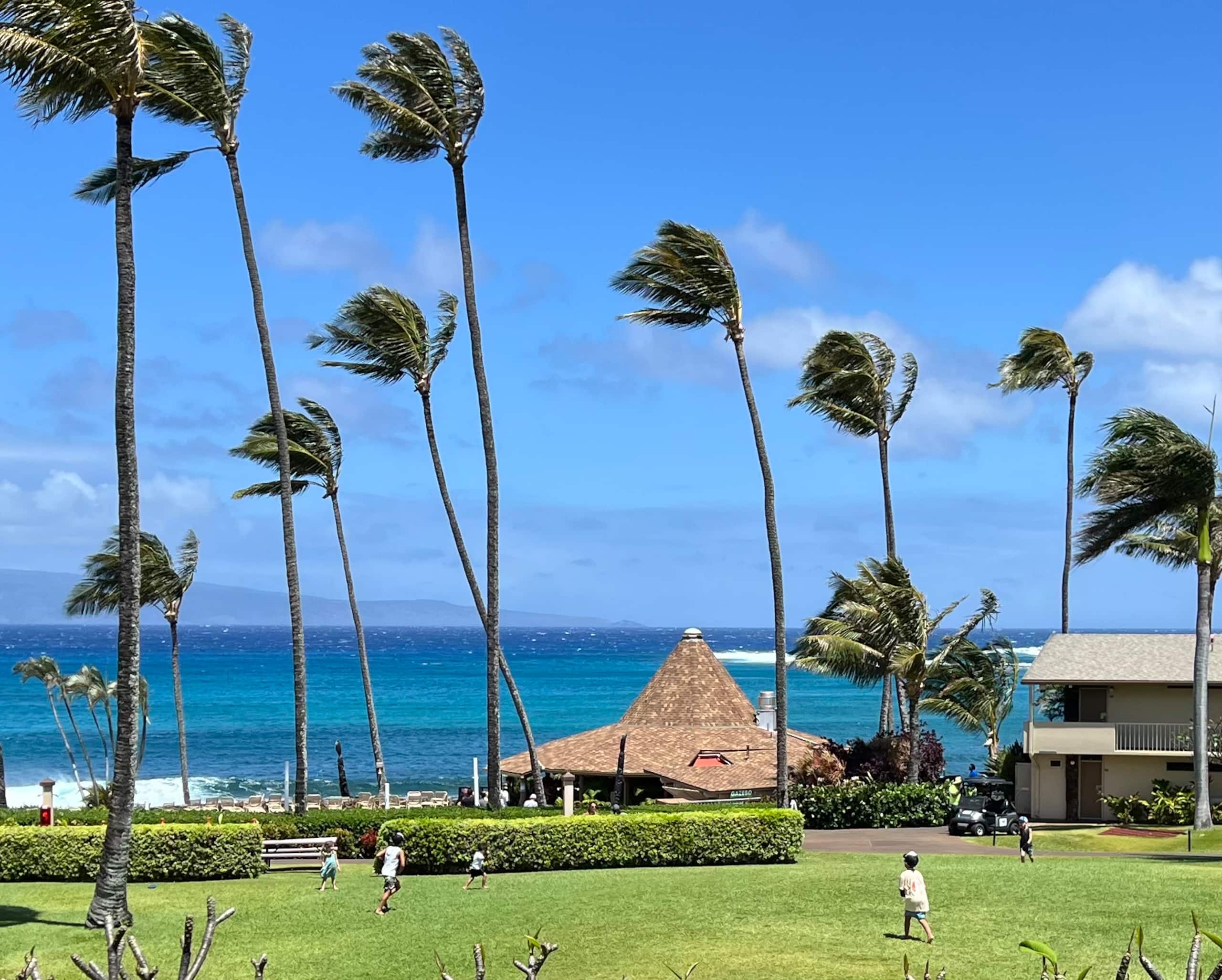 Condo in Lahaina · ★5.0 · 1 bedroom · 3 beds · 1 bath - Image 11