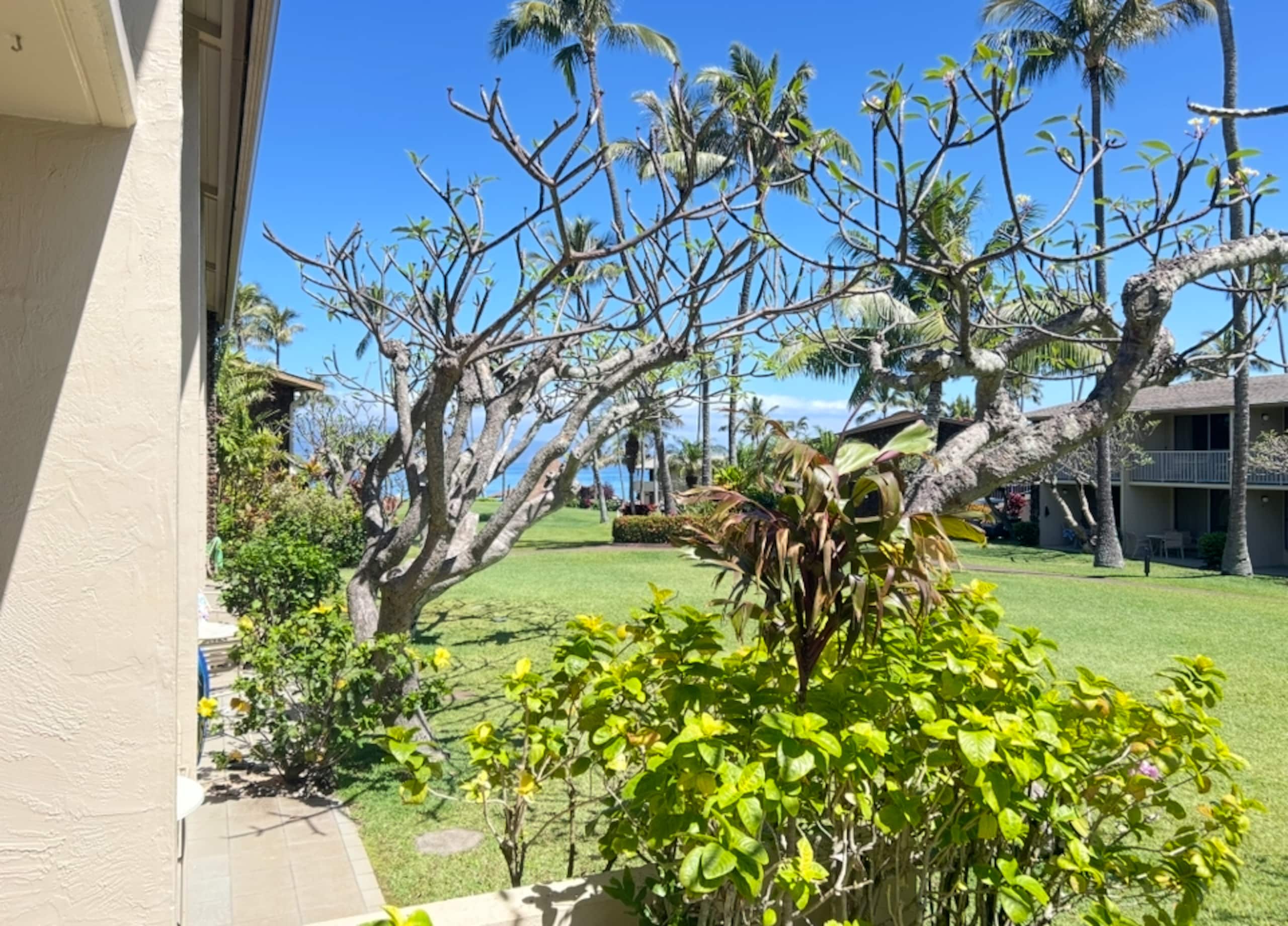 Condo in Lahaina · ★5.0 · 1 bedroom · 3 beds · 1 bath - Image 8
