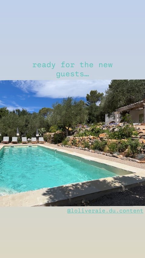 The olive grove of content