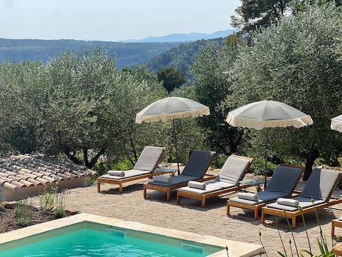The olive grove of content