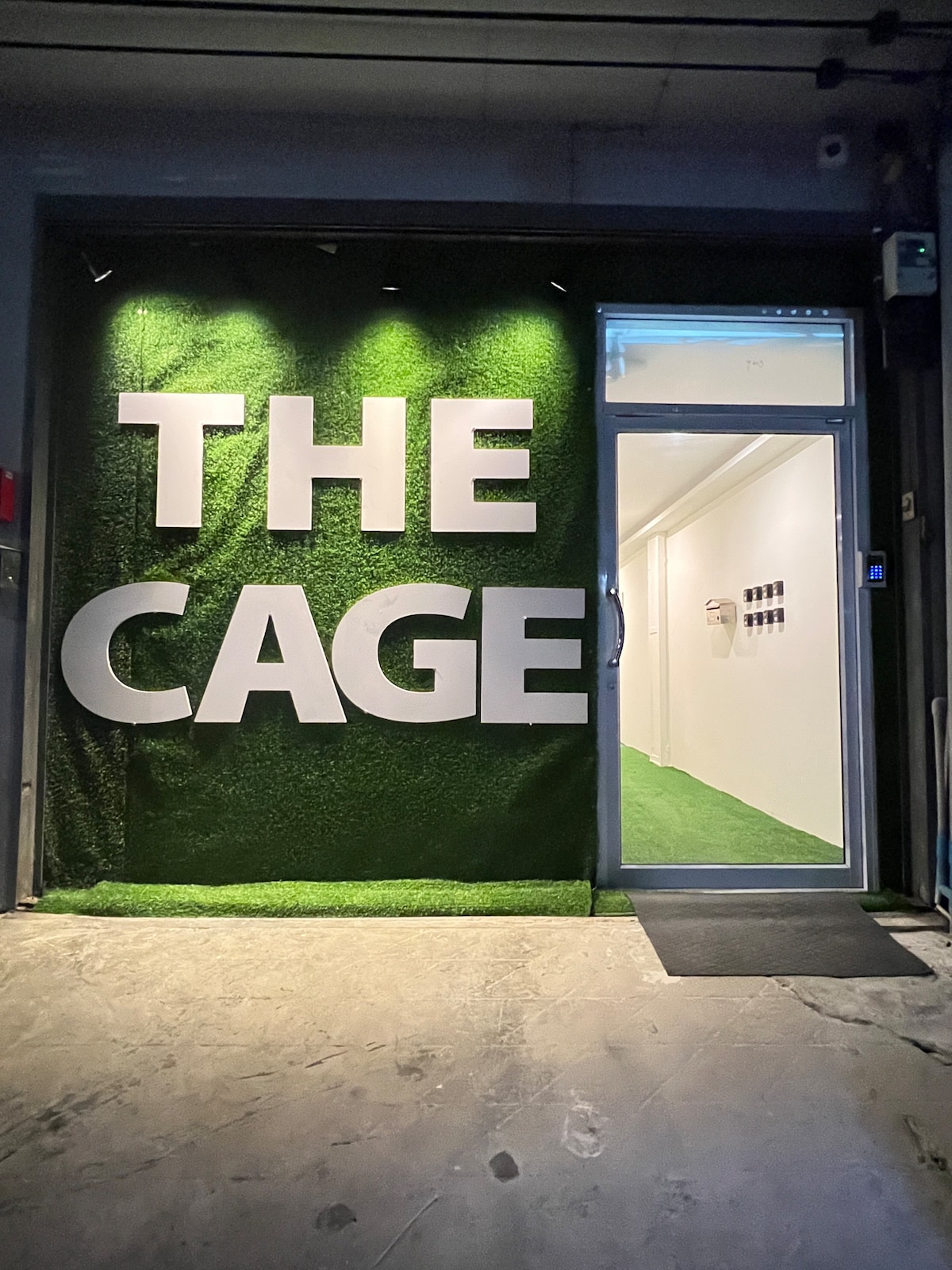 An entrance is displayed, featuring a vibrant green artificial grass backdrop. The bold text 'THE CAGE' is prominently featured in large white letters above the glass door. The pathway is lined with grass, creating a cohesive look with the entrance.