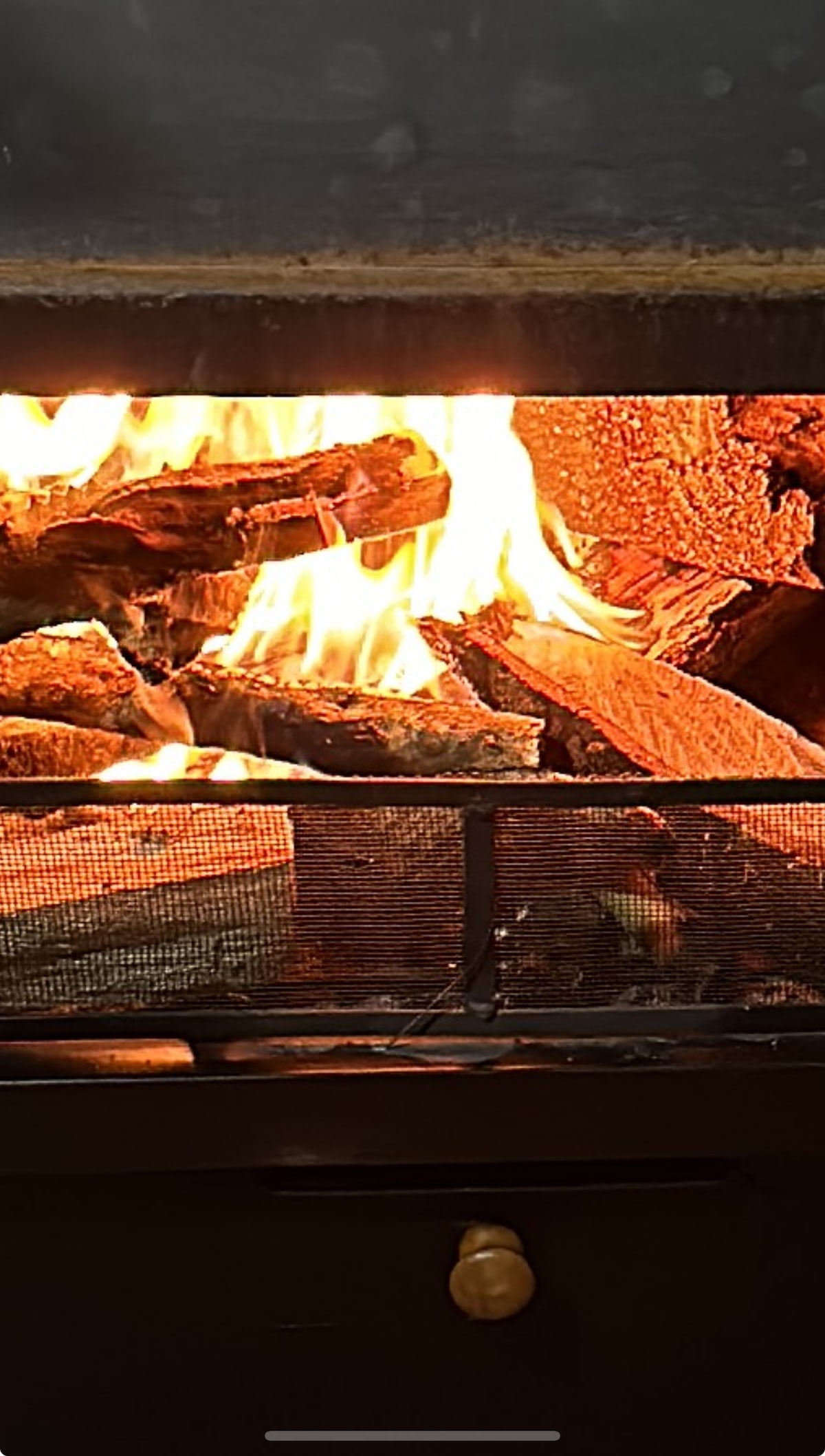 A wood-burning stove showcases a warm, flickering fire, with flames dancing above layered wood logs. The sturdy metal frame surrounds the fire, offering a rustic touch. The glow from the fire creates a cozy atmosphere, inviting relaxation and warmth.
