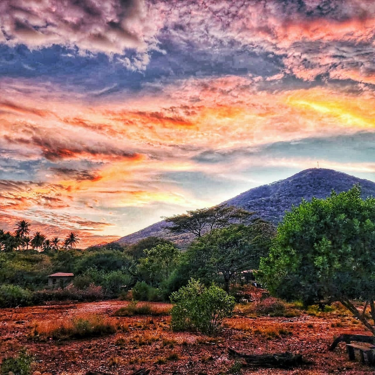 A colorful sky is displayed above a mountainous landscape, showcasing vibrant hues of orange, pink, and purple with scattered clouds. Green foliage and trees add texture to the terrain, while a glimpse of distant palm trees can be seen, emphasizing the natural beauty of the area.